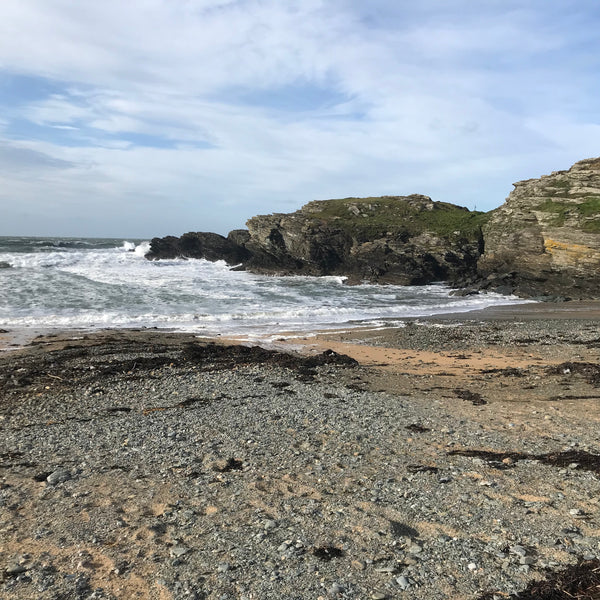 My first beach clean