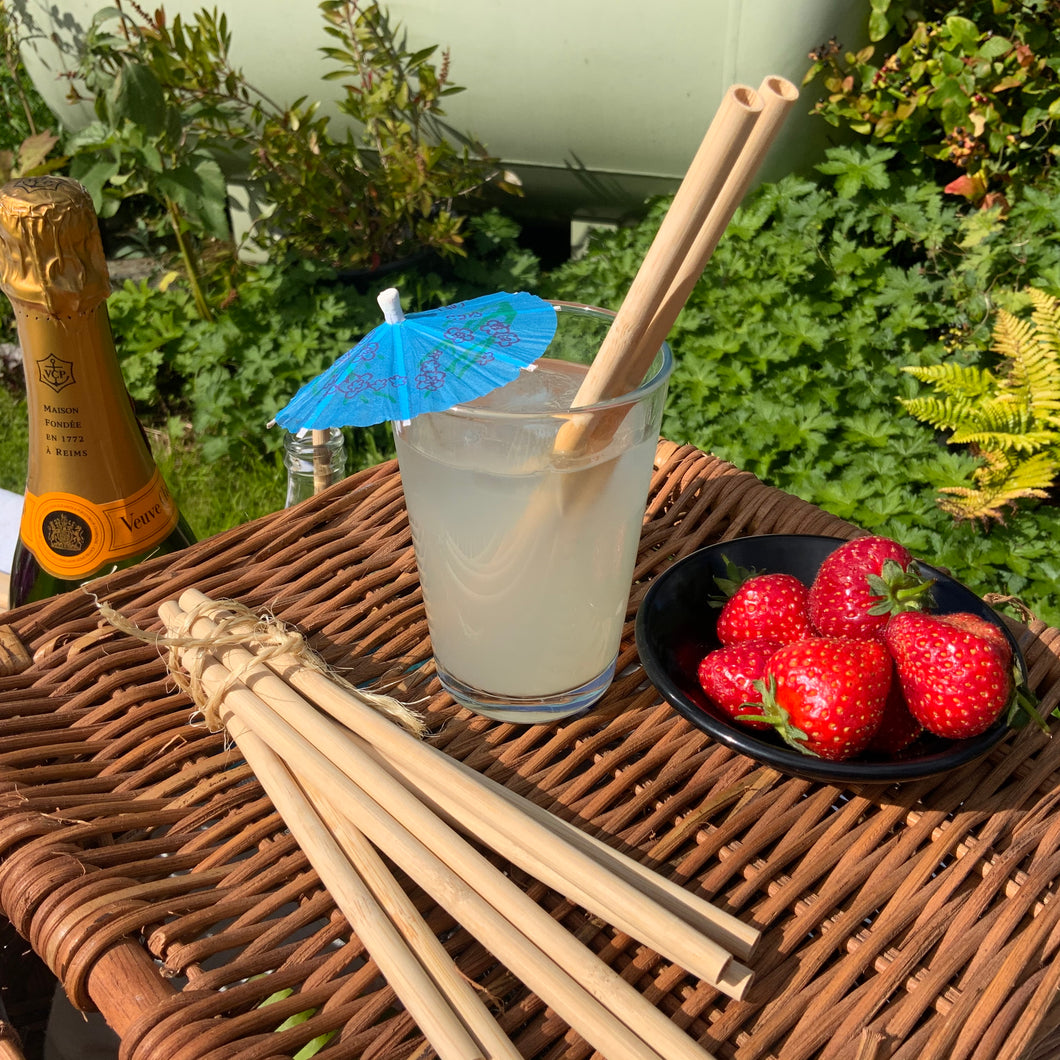 Bamboo Drinking Straws - Biodegradable and naturally renewing (12 Pack)